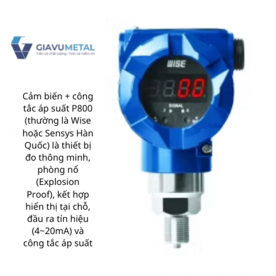 Cảm biến áp suất hiển thị tại chỗ P800 (phòng nổ)
