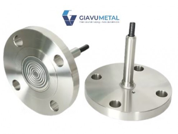 Đồng hồ áp suất dạng dây màng P791 P792