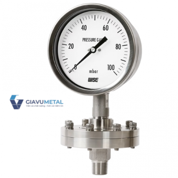 Đồng hồ áp suất thấp có màng P428, P429