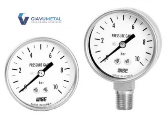 Đồng hồ áp suất P221 253