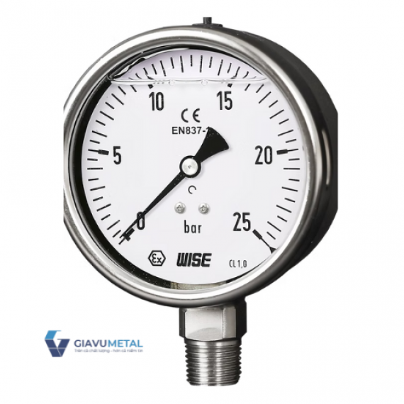 Đồng hồ áp suất (dầu) WISE P258 (inox toàn bộ)