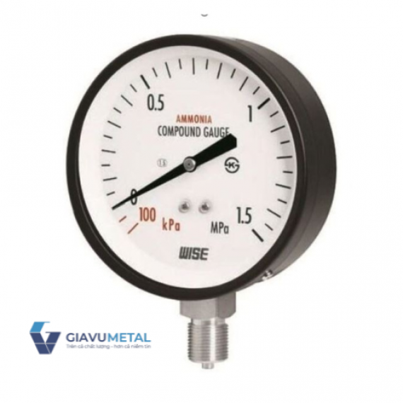 Đồng hồ áp suất Wise P111