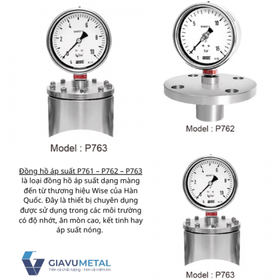 Đồng hồ áp suất P761 – P762 – P763