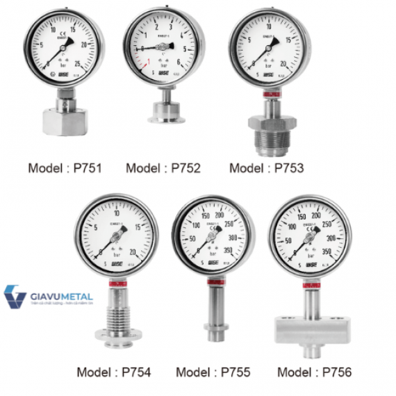 Đồng hồ áp suất P750 (P751, P752, P753, P754, P755, P756)