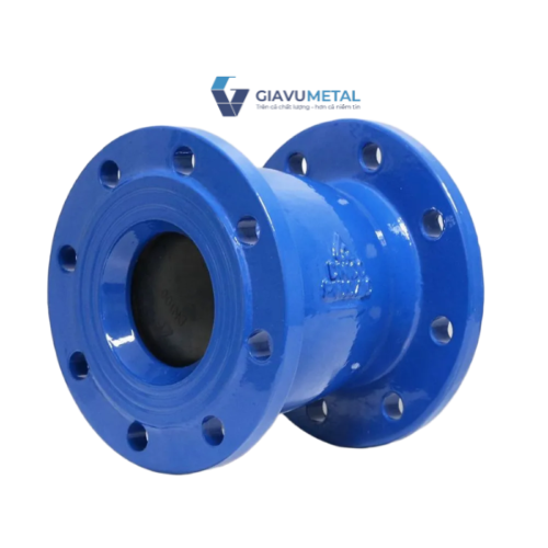 Van 1 chiều lò xo Shinyi