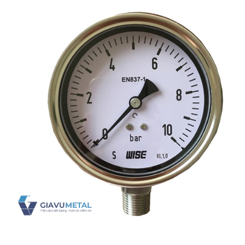 Đồng hồ áp suất P256