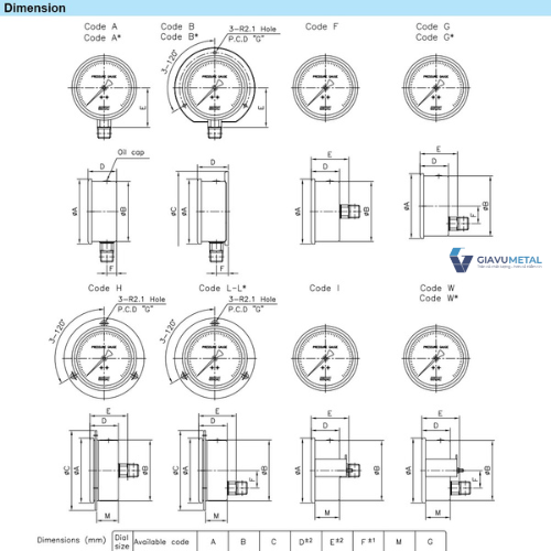 cac loai dong ho do ap suat wise p255