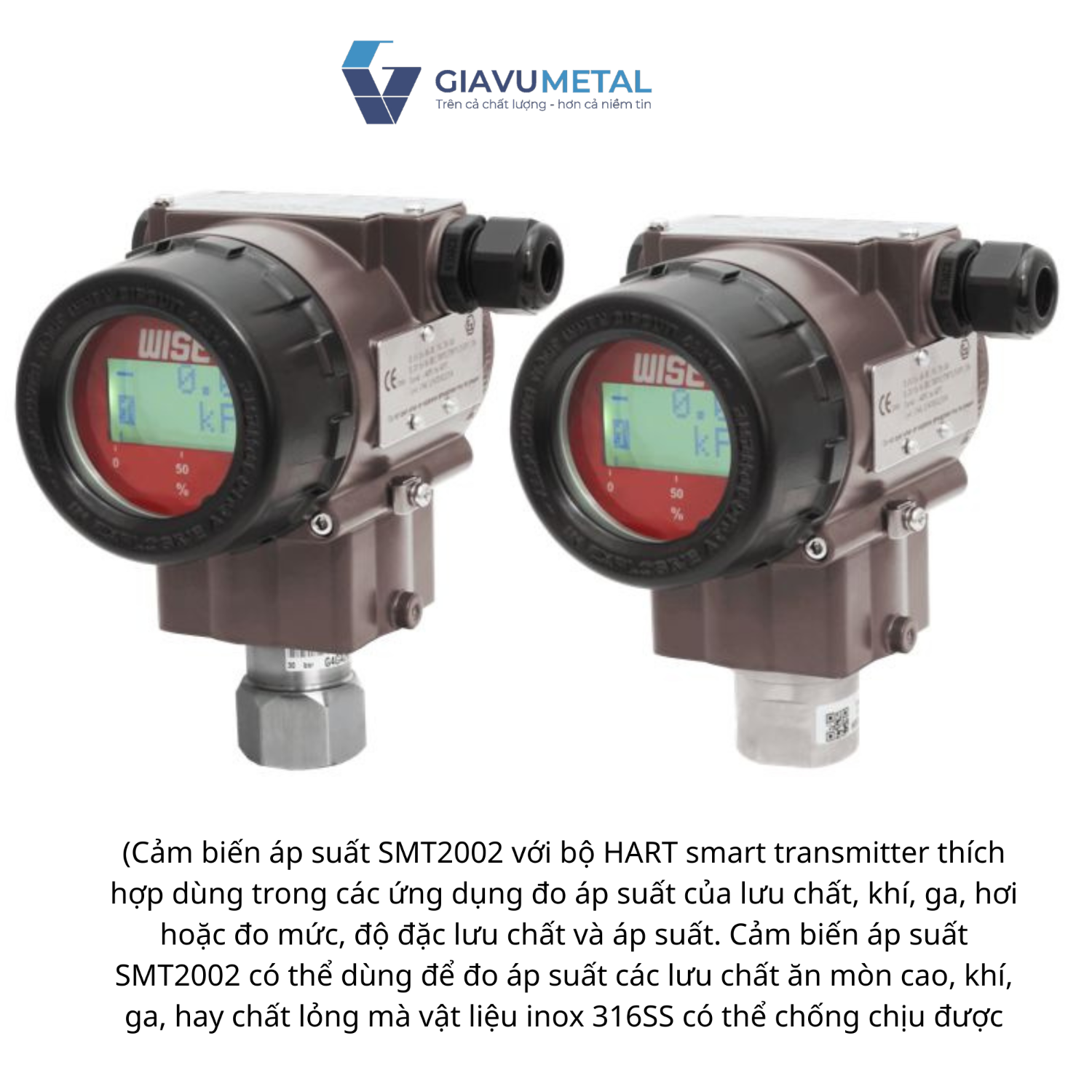 Cảm biến áp suất SMT2002 (HART)