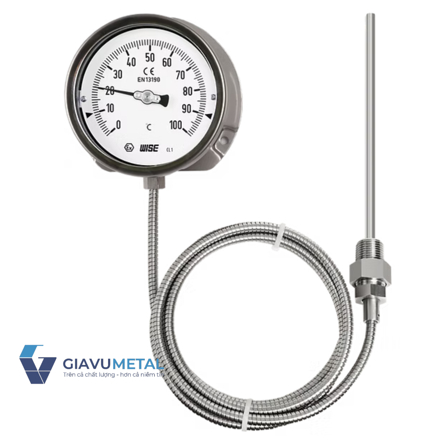 Đồng hồ nhiệt độ wise T210 (loại dây dài tối đa 10M, inox toàn bộ)