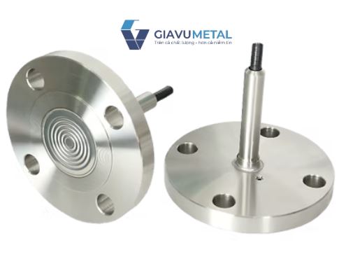 Đồng hồ áp suất dạng dây màng P791 P792