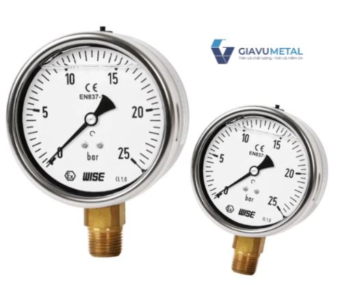 Đồng hồ áp suất (dầu) WISE P259 (vỏ inox chân đồng)