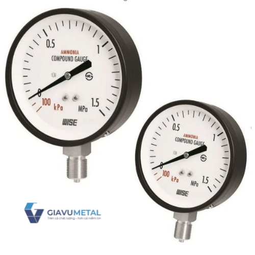 Đồng hồ áp suất Wise P111