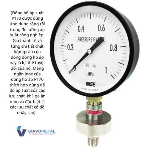 Đồng hồ áp suất màng P170 (màng inox, kết nối ren)