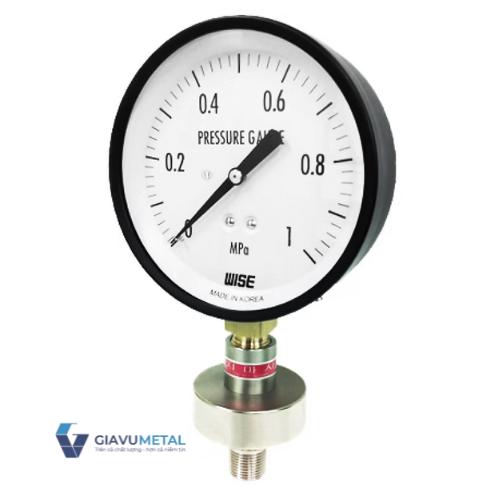 Đồng hồ áp suất màng P170