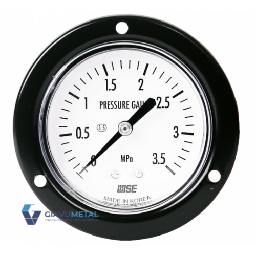 Đồng hồ áp suất Wise P112