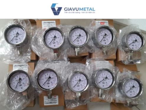 Đồng hồ áp suất P440 Wise