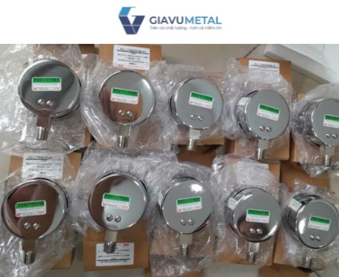 Đồng hồ áp suất P440 Wise