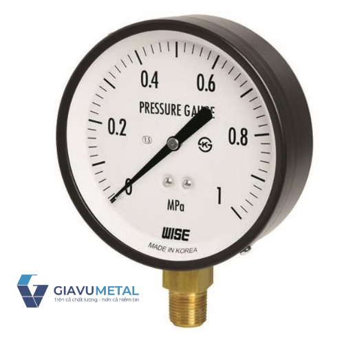 Đồng hồ áp suất WISE P110