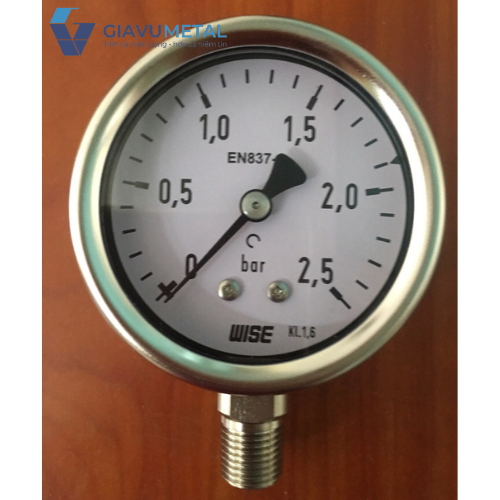 Đồng hồ áp suất WISE P252 (inox toàn bộ)