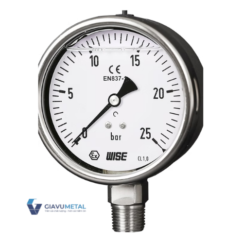 Đồng hồ áp suất (dầu) WISE P258 (inox toàn bộ)