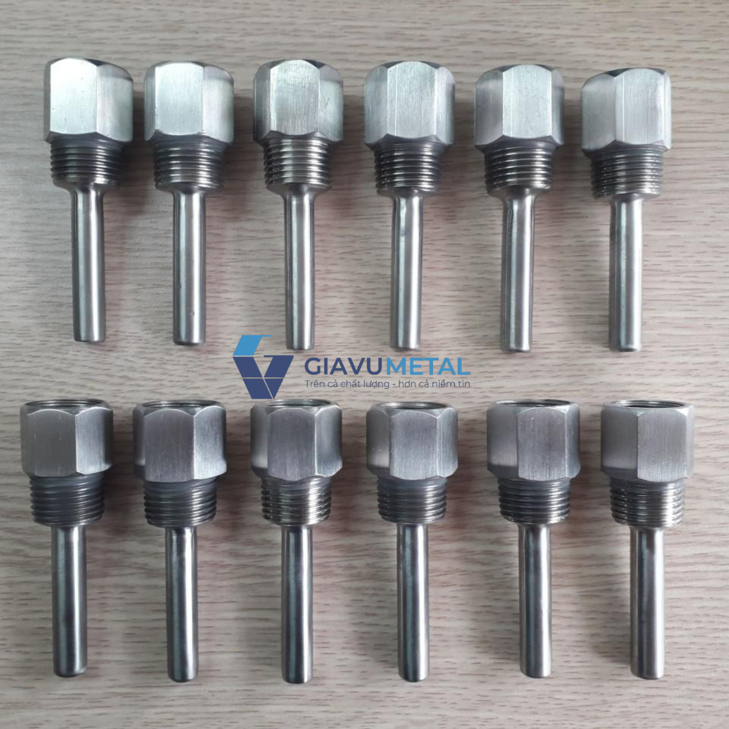 ĐỒNG HỒ NHIỆT ĐỘ T110 WISE