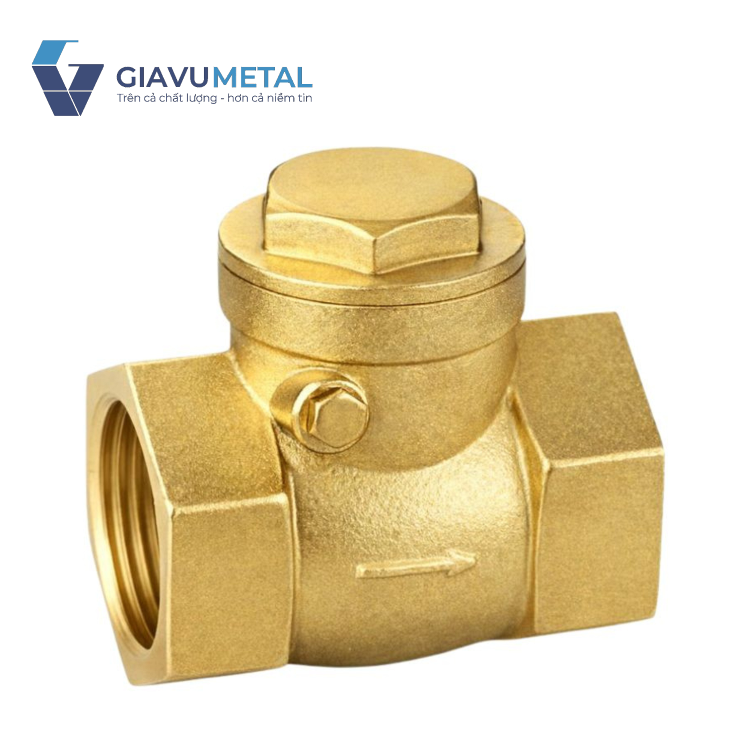 Van 1 chiều đồng lá lật ARITA BRSC-S-125