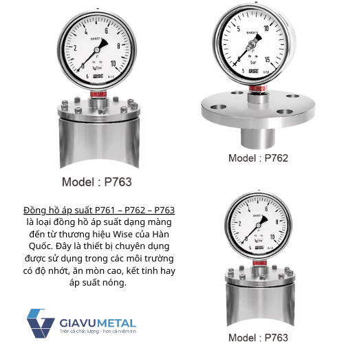 Đồng hồ áp suất P761 – P762 – P763